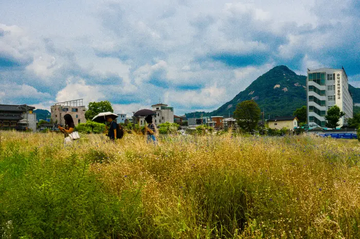 Field Crossing