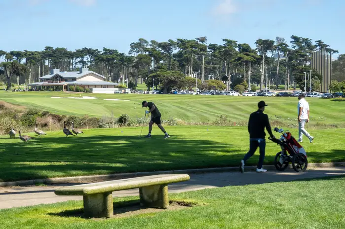 Par for the Course