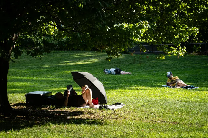 Seeking Shade